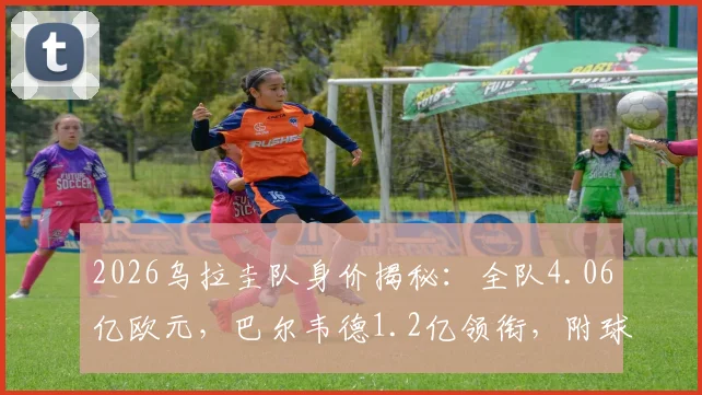 2026乌拉圭队身价揭秘：全队4.06亿欧元，巴尔韦德1.2亿领衔，附球员具体估值分析